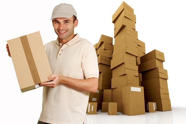 Safe Ship Moving Services Shares the Essential Tips for Selecting a Reliable and Professional Moving Services