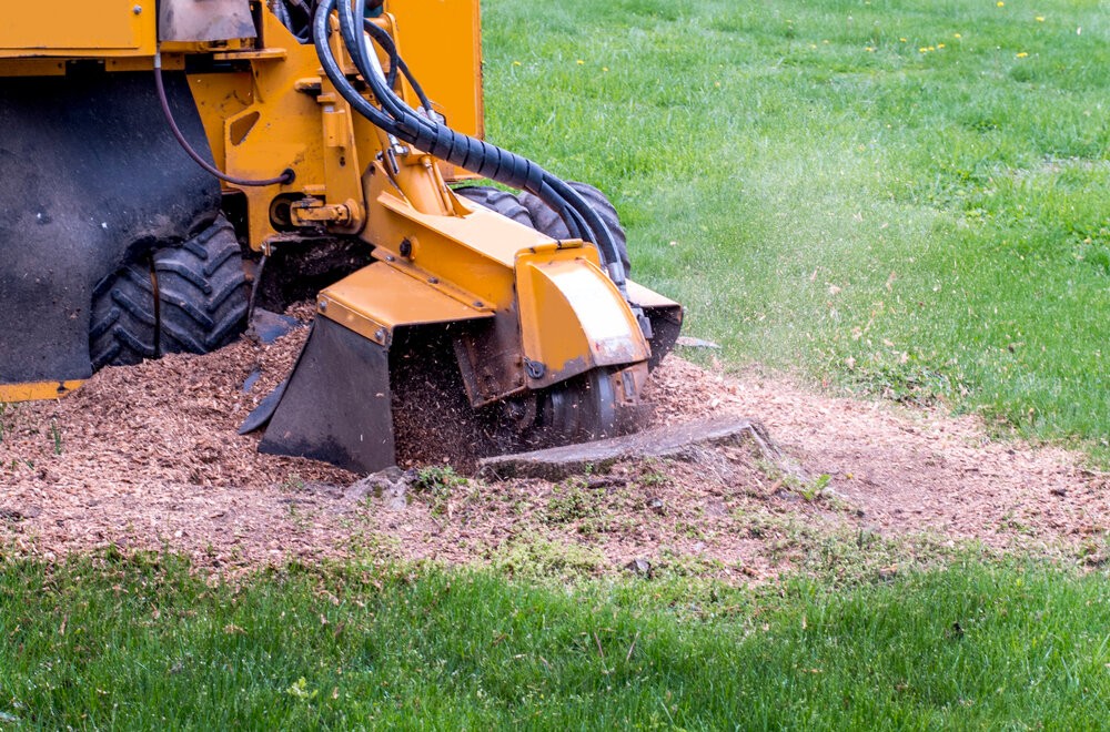 Stump grinding Philadelphia