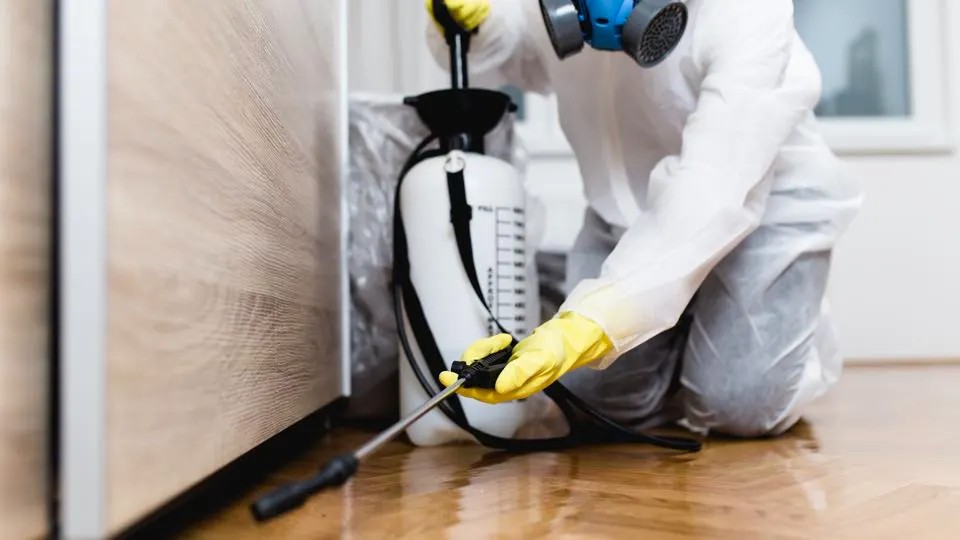 pest control company