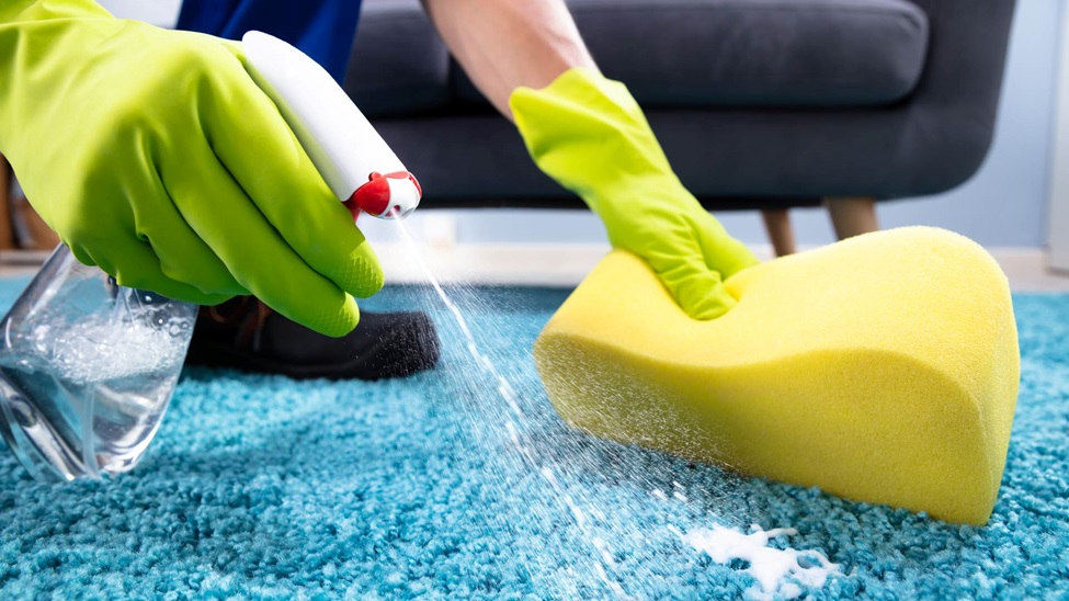 The Ultimate Guide to DIY Carpet Cleaning