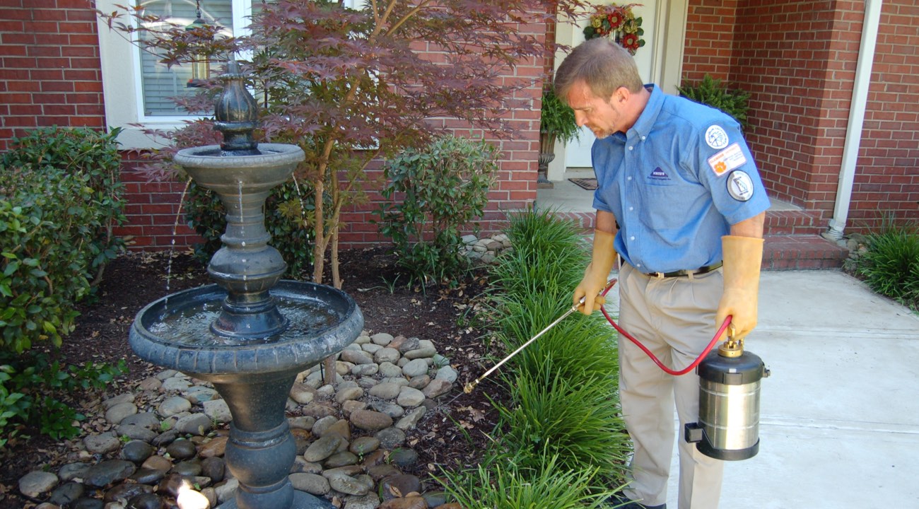 Finding the best pest services in Shreveport LA