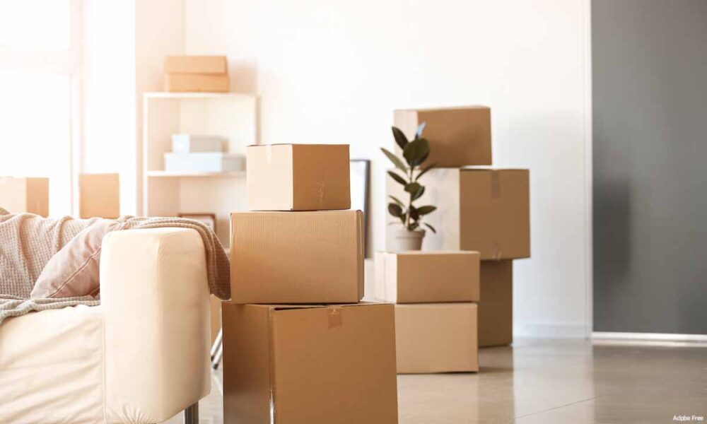 Packing Artwork and Mirrors: Expert Tips for a Damage-Free Move