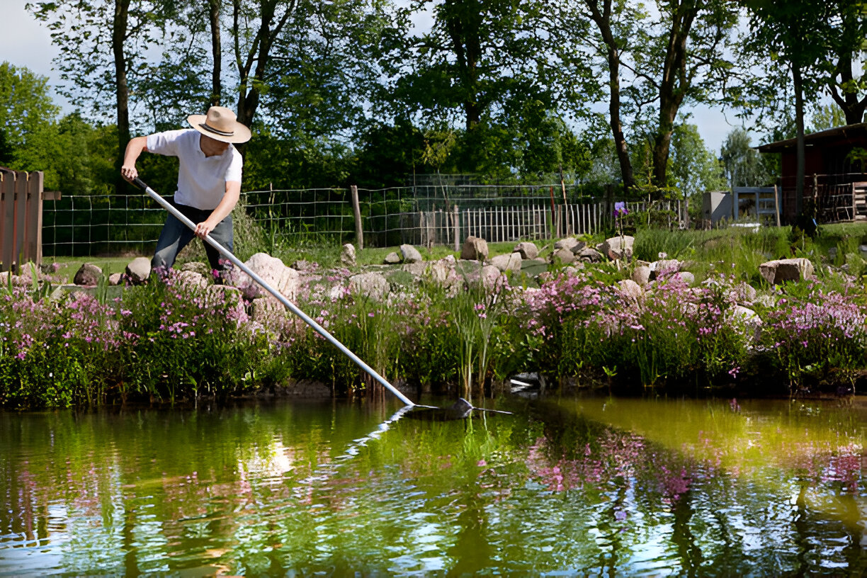 A Guide to Large Pond Maintenance for Healthier Water and Landscape